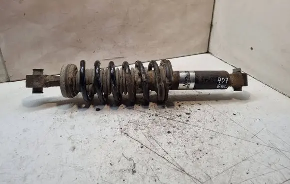 Peugeot 407 Rear shock absorber/damper