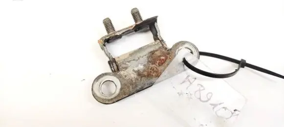 Tailgate/trunk/boot hinge