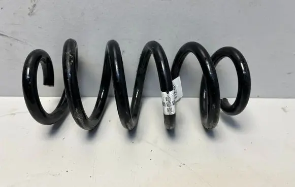 Rear coil spring
