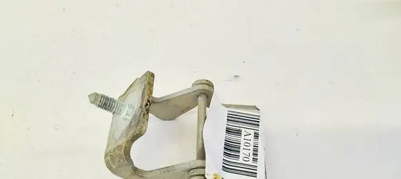 Tailgate/trunk/boot hinge