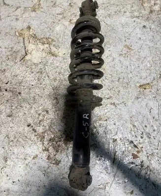 Rear shock absorber/damper