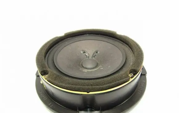 Hyundai Santa Fe Rear door speaker 963002B000