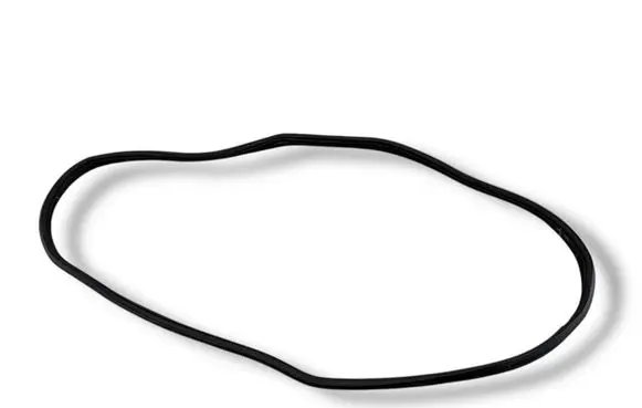 Toyota Aygo X Rear door rubber seal (on body) 18339