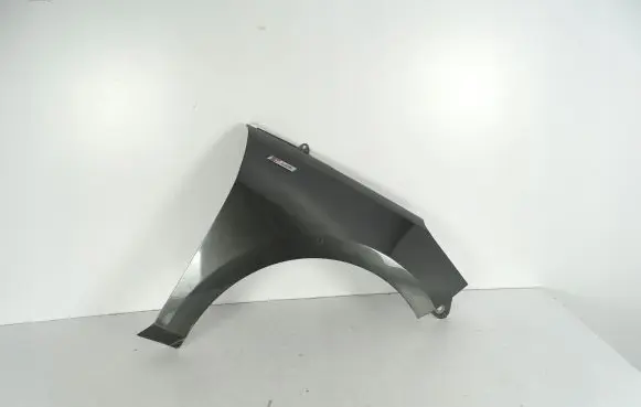 Ford Focus Fender