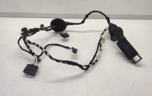 Rear door wiring loom