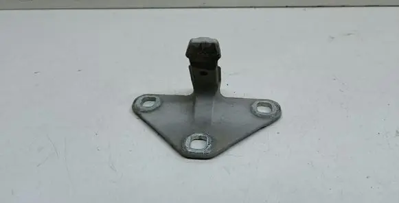 BMW X5 E70 Tailgate/trunk/boot hinge