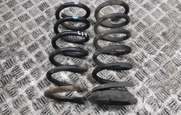 Opel Antara Rear coil spring