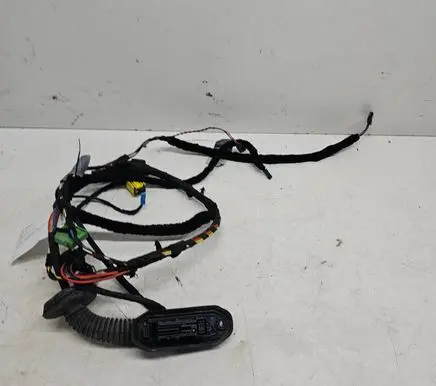 BMW 5 E60 E61 Front door wiring loom 6925936