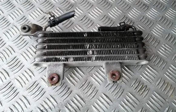 Hyundai Santa Fe Engine oil radiator 2546026510