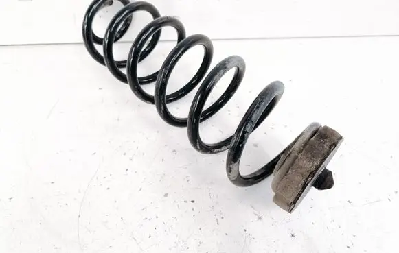 Rear coil spring