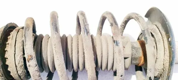 Citroen C3 Front coil spring 