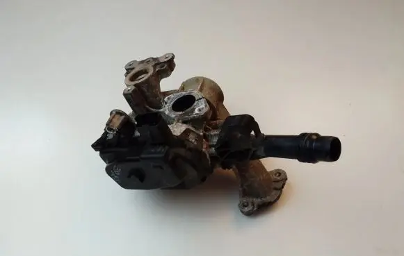 Peugeot 2008 I EGR valve 9807369980