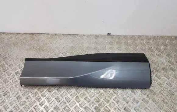 Rear door trim (molding)