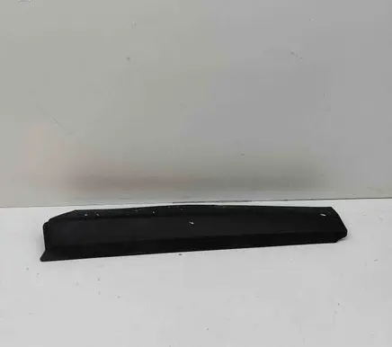 Rear door trim (molding)
