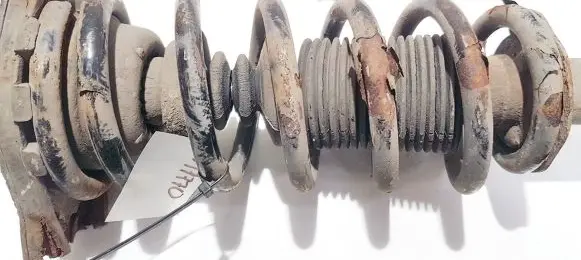 Nissan Primera Rear coil spring 2120181