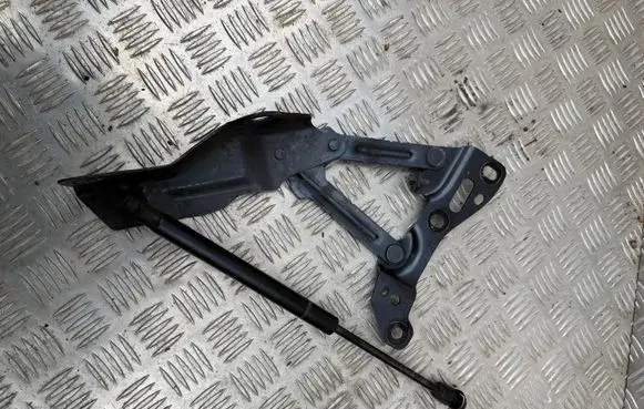 Tesla Model X Engine bonnet/hood hinges 1058042