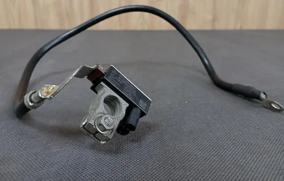 Mercedes-Benz B W246 W242 Negative earth cable (battery) 1665420018 A1665420018