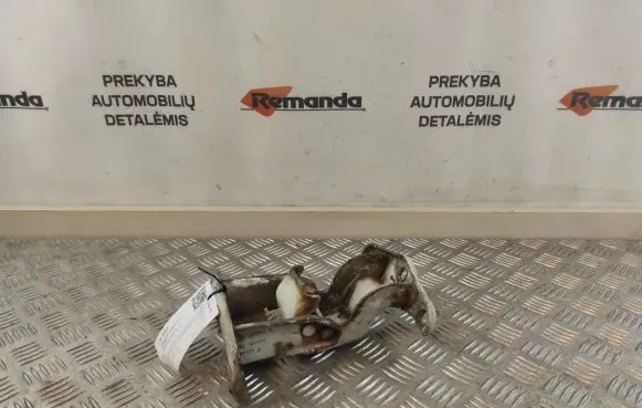 Renault Trafic II (X83) Loading door lower hinge 312304K 66379