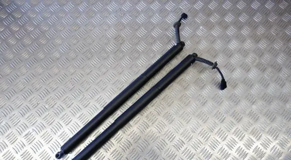 BMW X1 F48 F49 Tailgate/trunk strut/damper 7350837