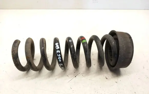 Rear coil spring