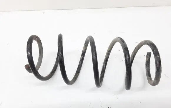 Front coil spring