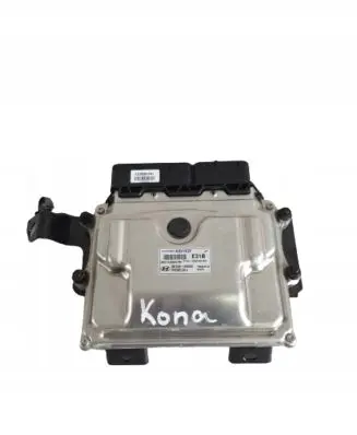 Hyundai Kona I Engine control unit/module 3910804000