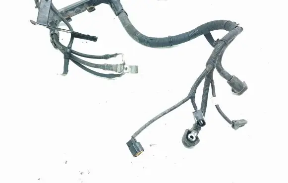 Hyundai Santa Fe Wires (starter motor) 918502W020