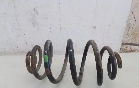 Volkswagen PASSAT B5 Rear coil spring