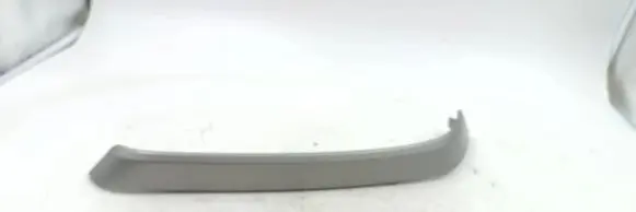 Other rear door trim element