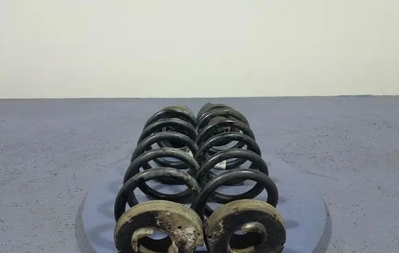 Rear coil spring