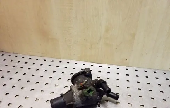 Thermostat/thermostat housing