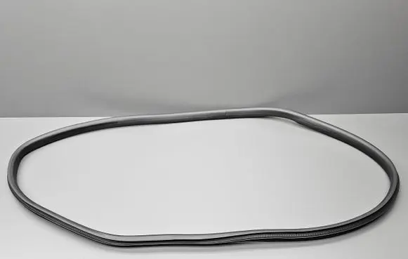 Ford Fiesta Rear door rubber seal (on body) 