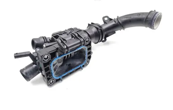 Thermostat/thermostat housing