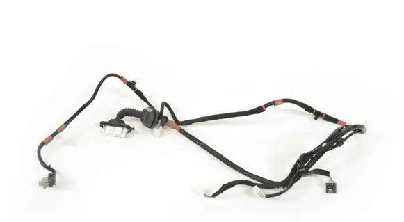 Rear door wiring loom