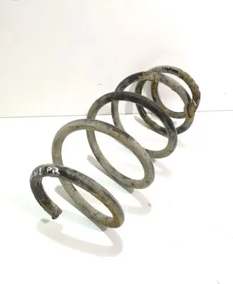 Front coil spring