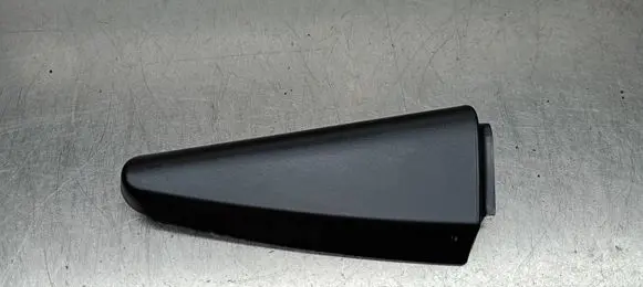 Other rear door trim element