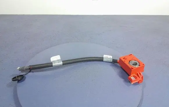 Other wiring loom
