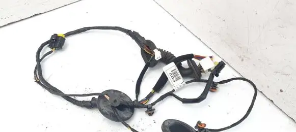 Hyundai ix 55 Rear door wiring loom 916603J021