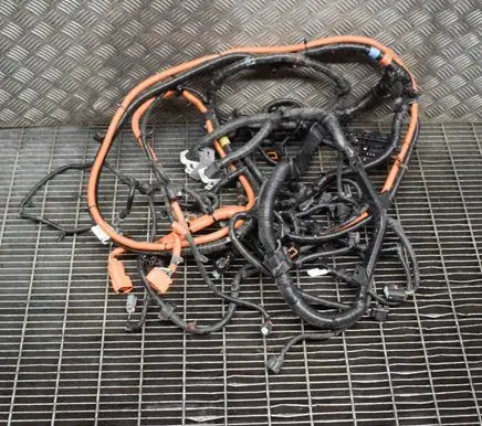 Chevrolet Volt I Other wiring loom 22878405