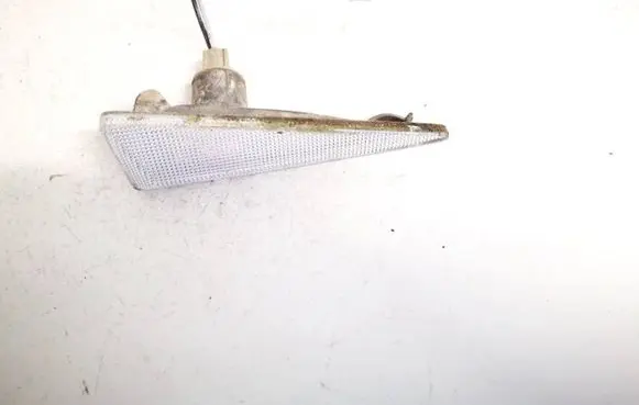 Front fender indicator light
