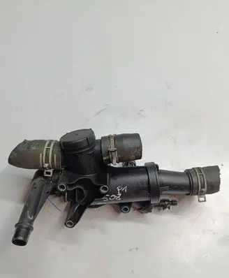 Thermostat/thermostat housing