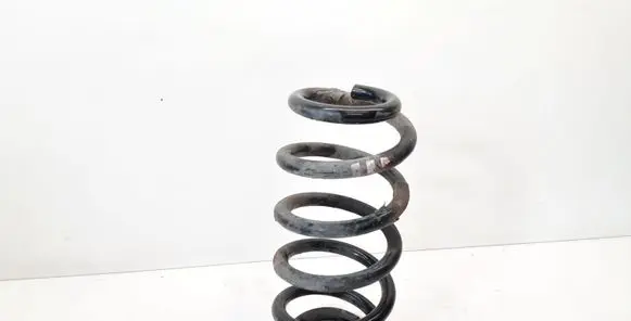 Front coil spring