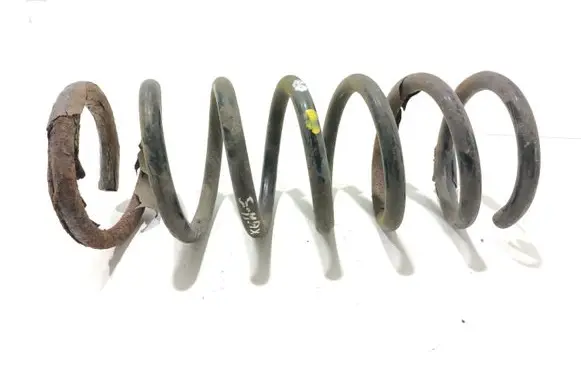 Ford S-MAX Rear coil spring