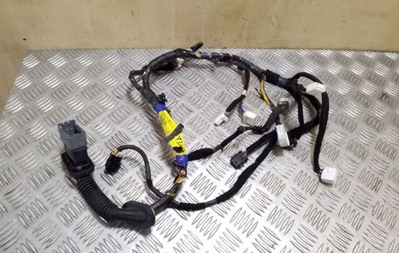 Front door wiring loom