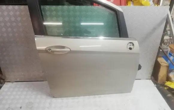 Ford B-MAX Front door