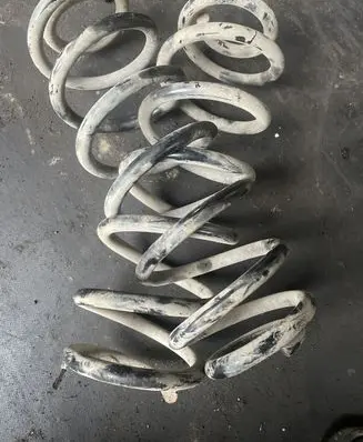 Volkswagen PASSAT B6 Rear coil spring
