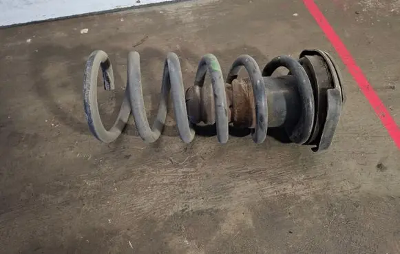 Rear coil spring