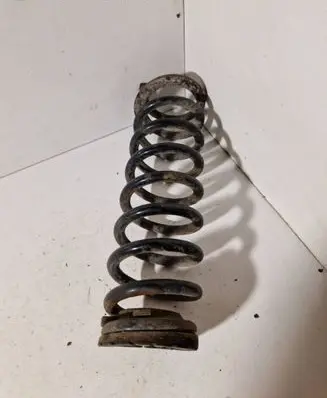 Rear coil spring