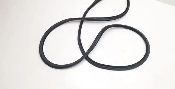 BMW 3 E92 E93 Front door rubber seal 7119091