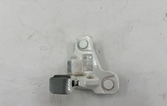 Front door lower hinge